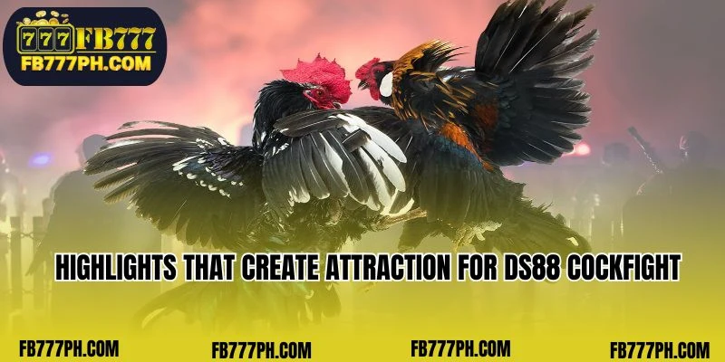 Highlights that create attraction for DS88 Cockfight