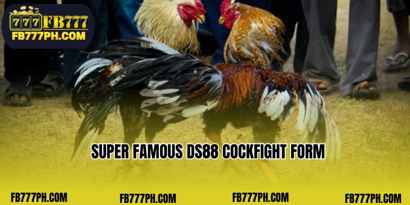 Super famous DS88 Cockfight form