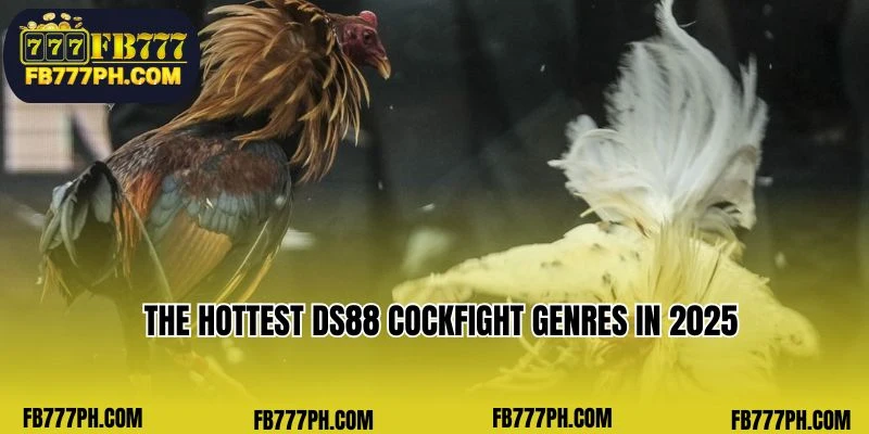 The hottest DS88 Cockfight genres in 2025